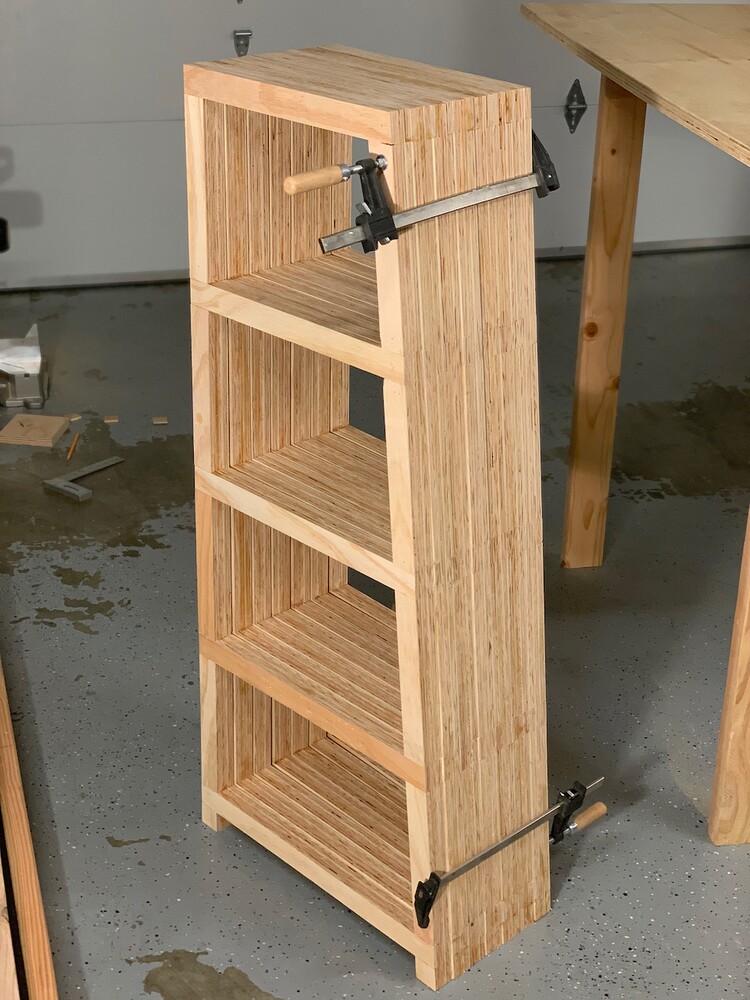 all-struts