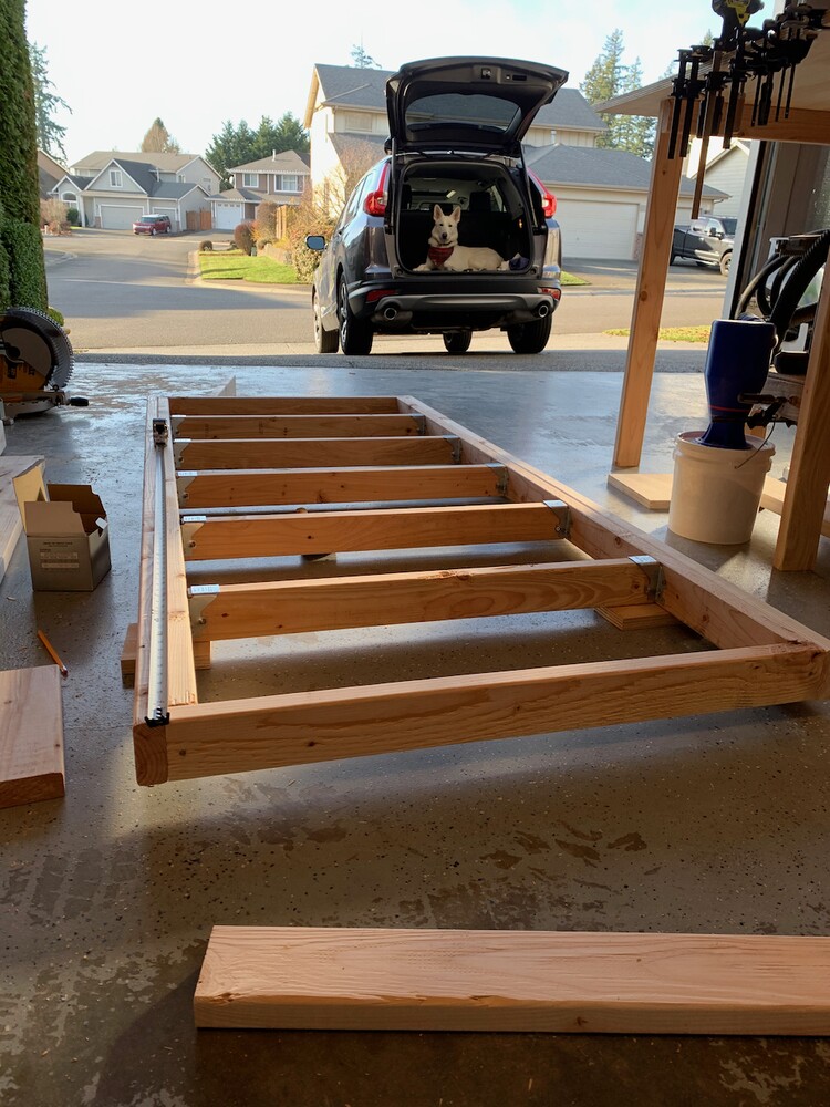 joists-installed
